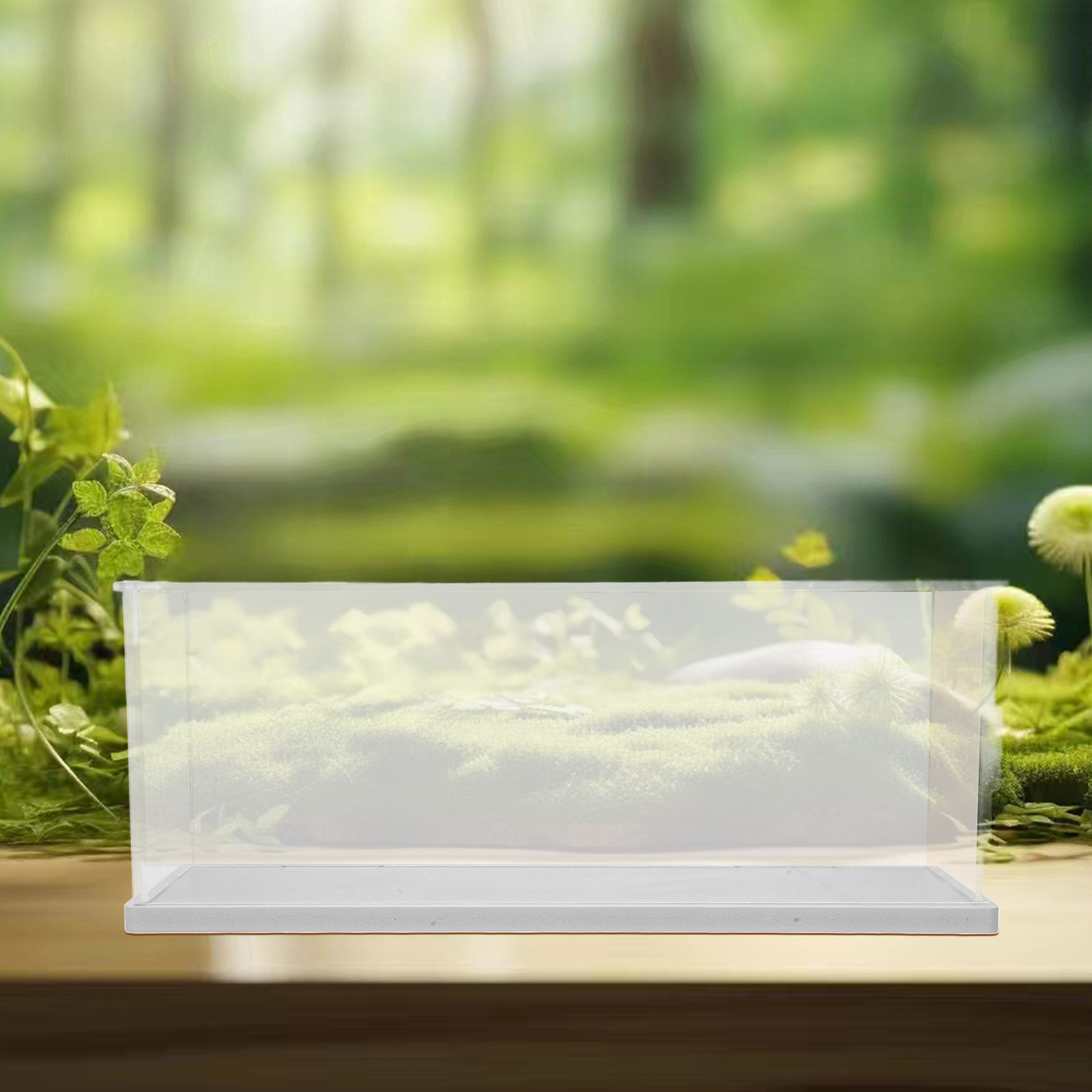 Clear Acrylic Display Case Tra - đánh giá và giá Shoe Box Display